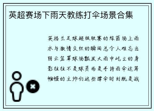 英超赛场下雨天教练打伞场景合集